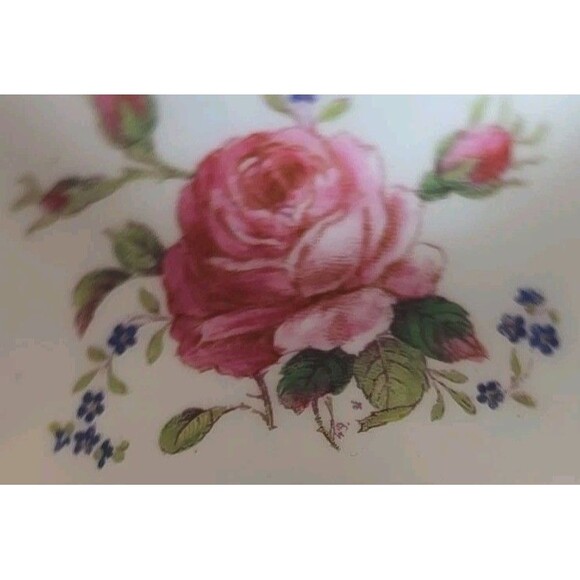 Swansea Rose (Magenta) Demitasse Cup and Saucer R139 Signed W Birbeck - Picture 14 of 14